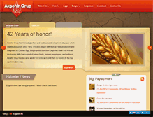 Tablet Screenshot of aksehirgrup.com